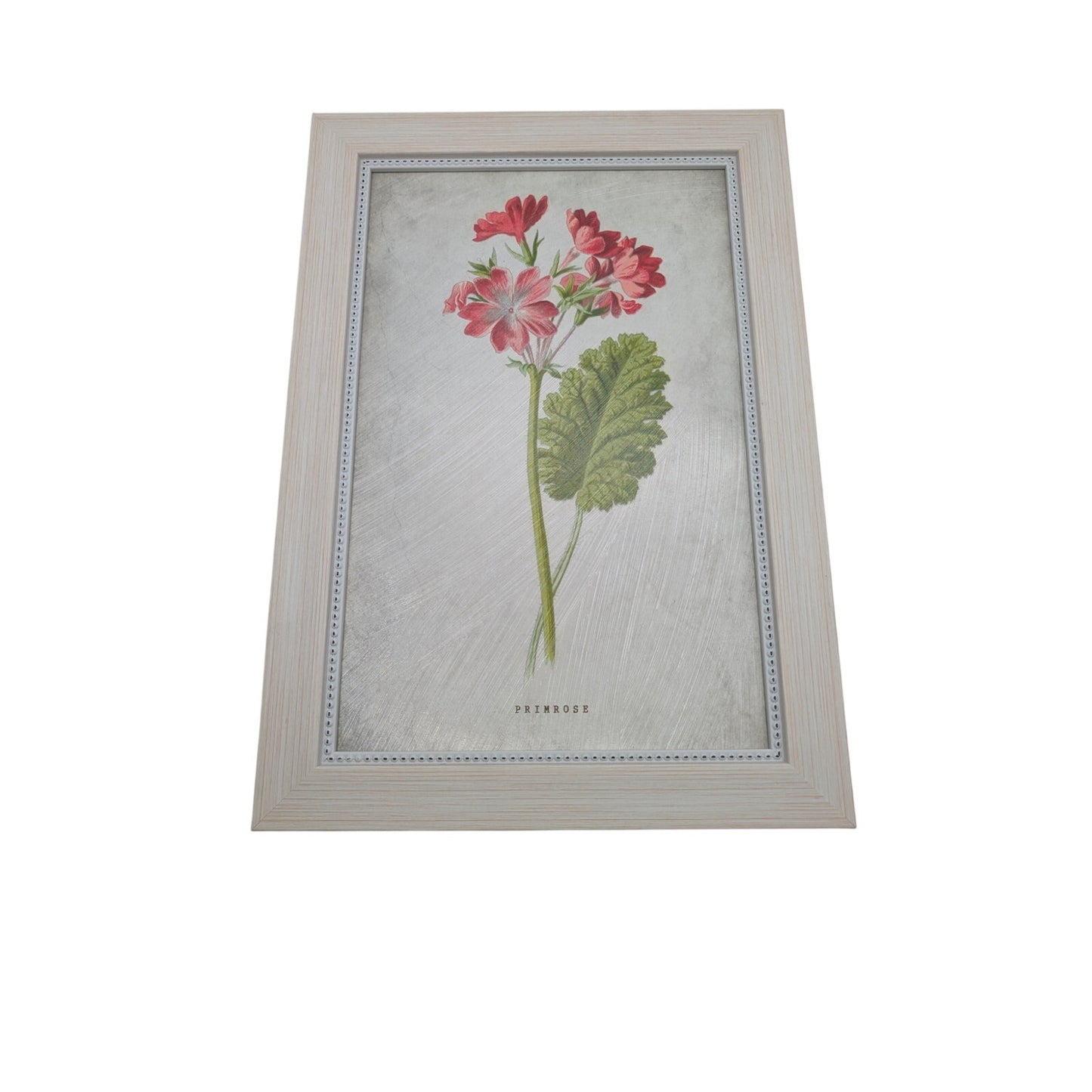 Kirkland's Home Birth Month Flower February Primrose Framed Picture