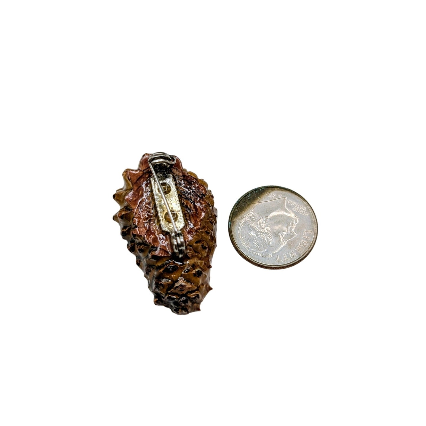 Halved Lacquered Pine Cone Pin