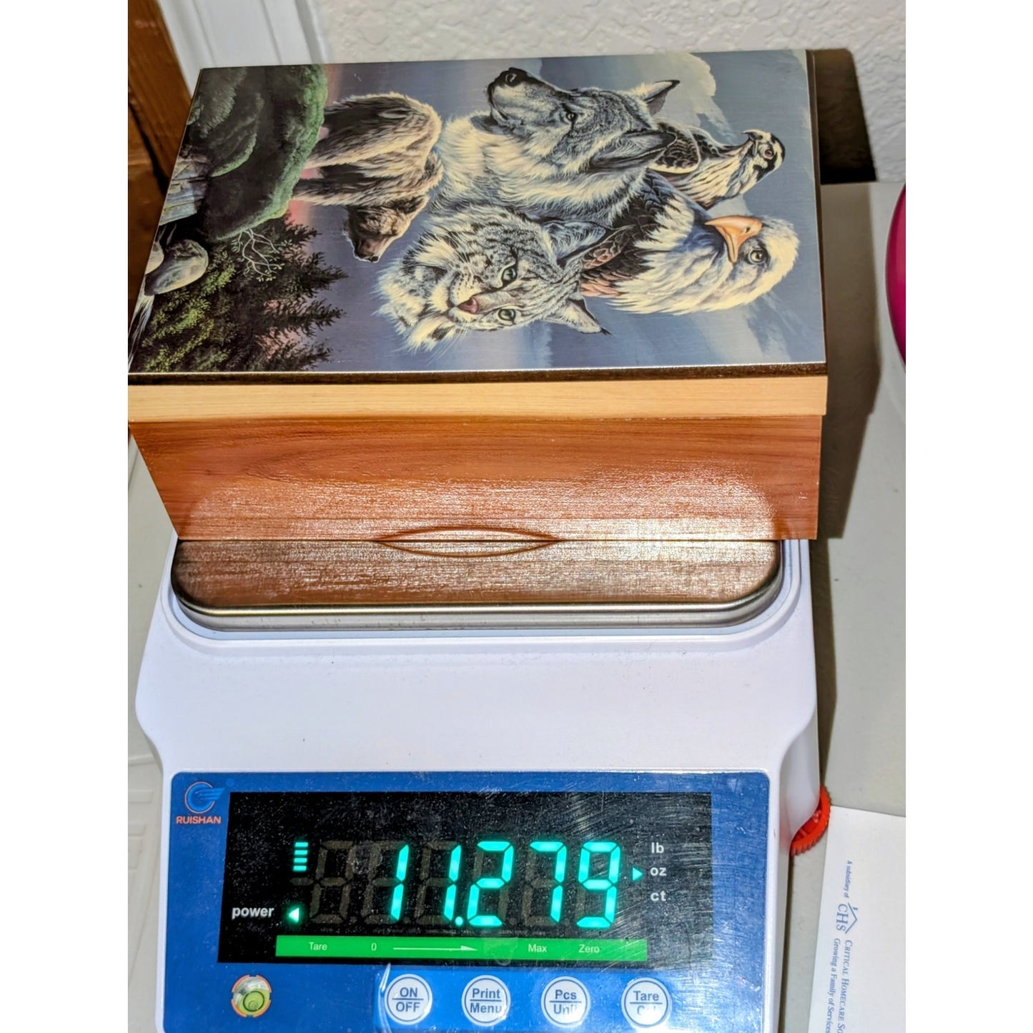 Bear Wolf Eagle Hawk Bobcat Art Hinged Wood Trinket Box