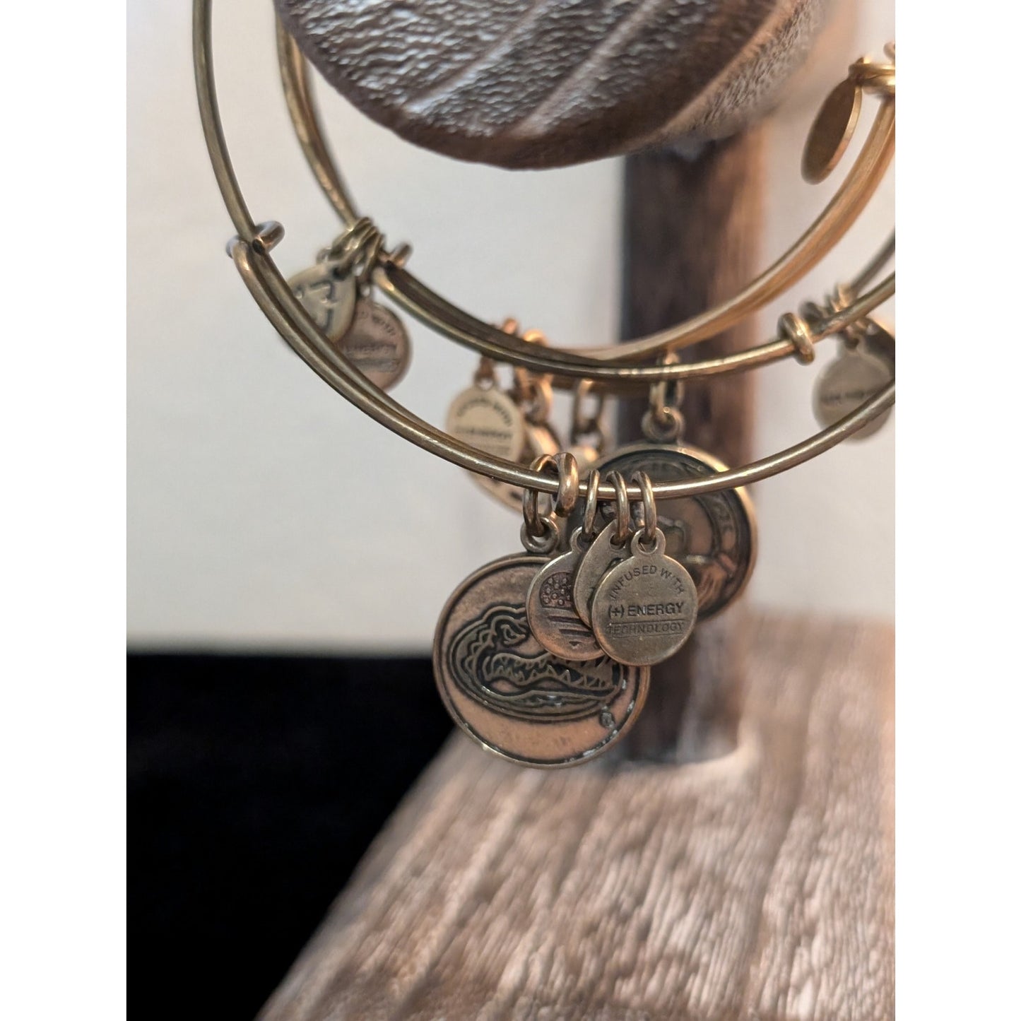 Lot of Ten Alex and Ani Adjustable Wire Charm Bracelets Bronze & Gold Tone