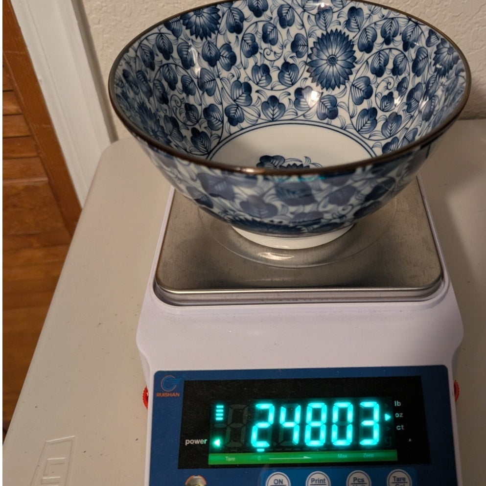 Japanese Blue Floral Bone China Ramen Noodle Soup Rice Bowl