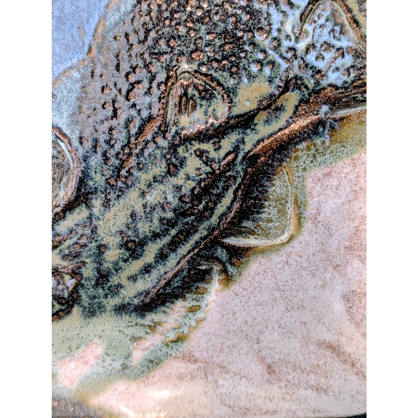 Fish 'Fossil' Textured 9" Plate Pottery