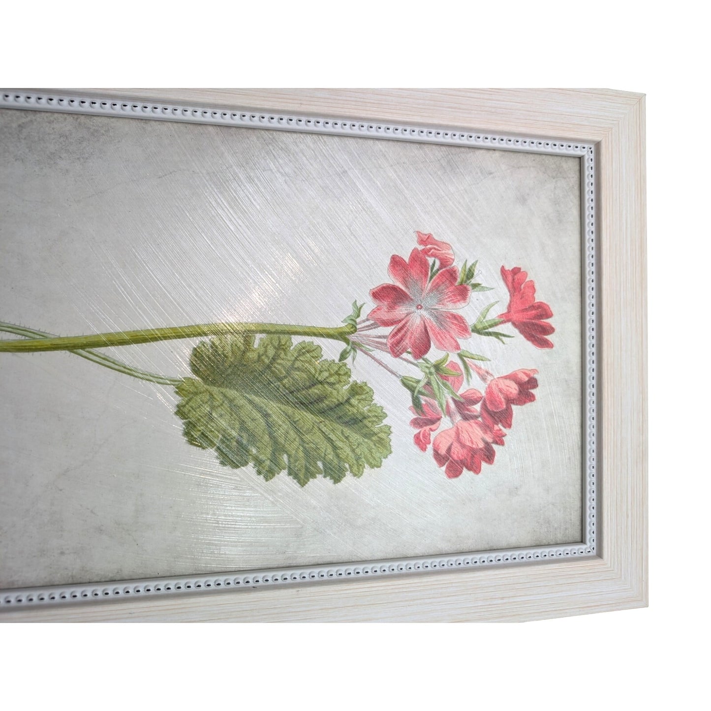 Kirkland's Home Birth Month Flower February Primrose Framed Picture