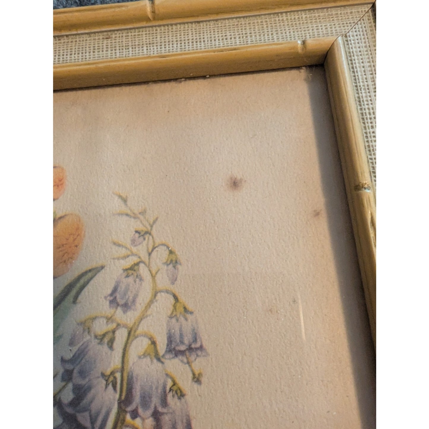 Set of Two Vintage Framed Pierre Joseph Redoute Botanical Art Prints Under Glass