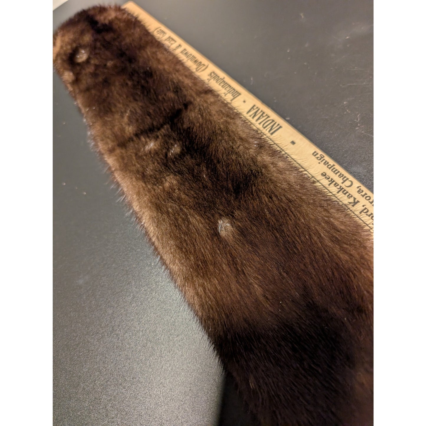 Vintage Mink Collar 3-3/4"W X 38"L Clamp Close Velvet Back
