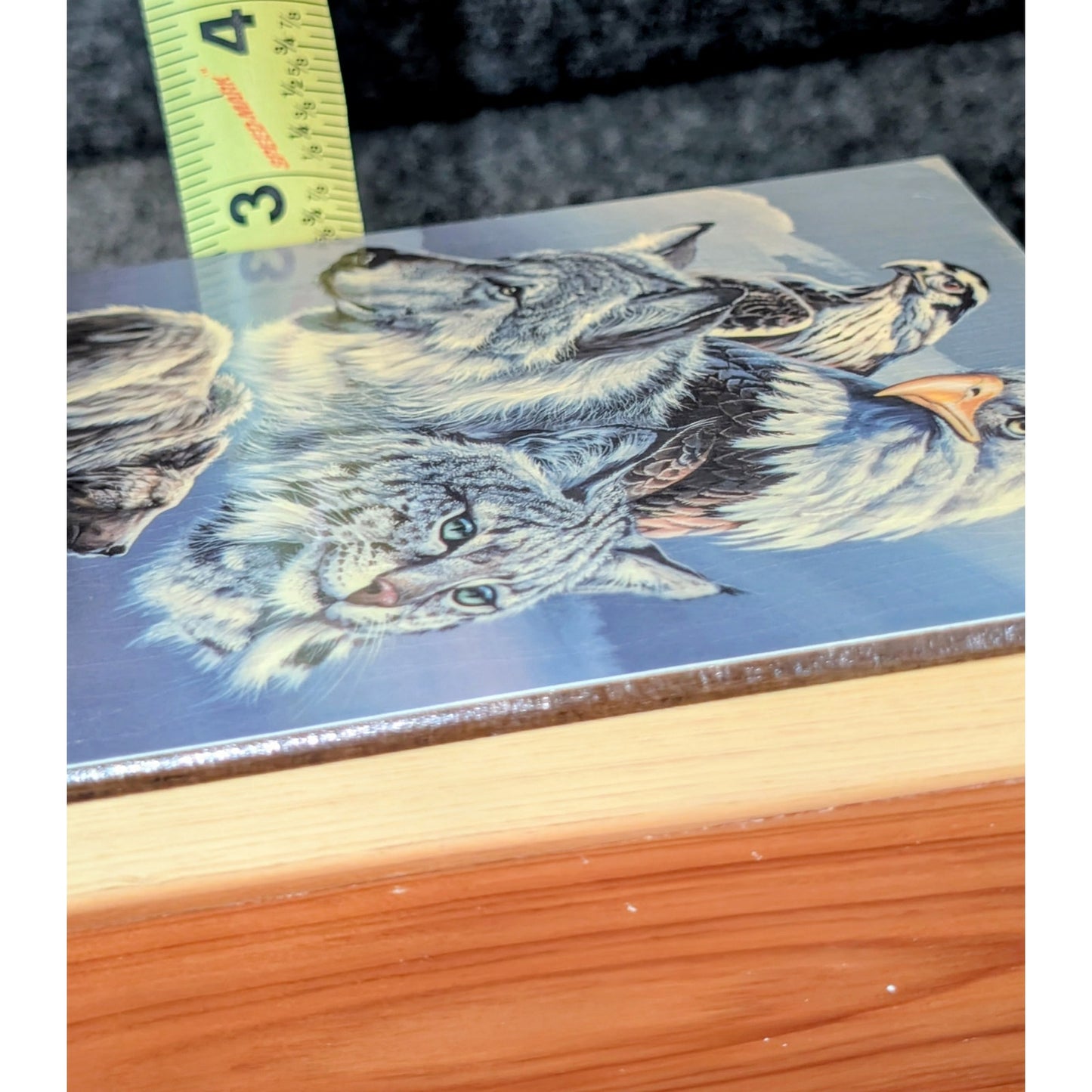 Bear Wolf Eagle Hawk Bobcat Art Hinged Wood Trinket Box