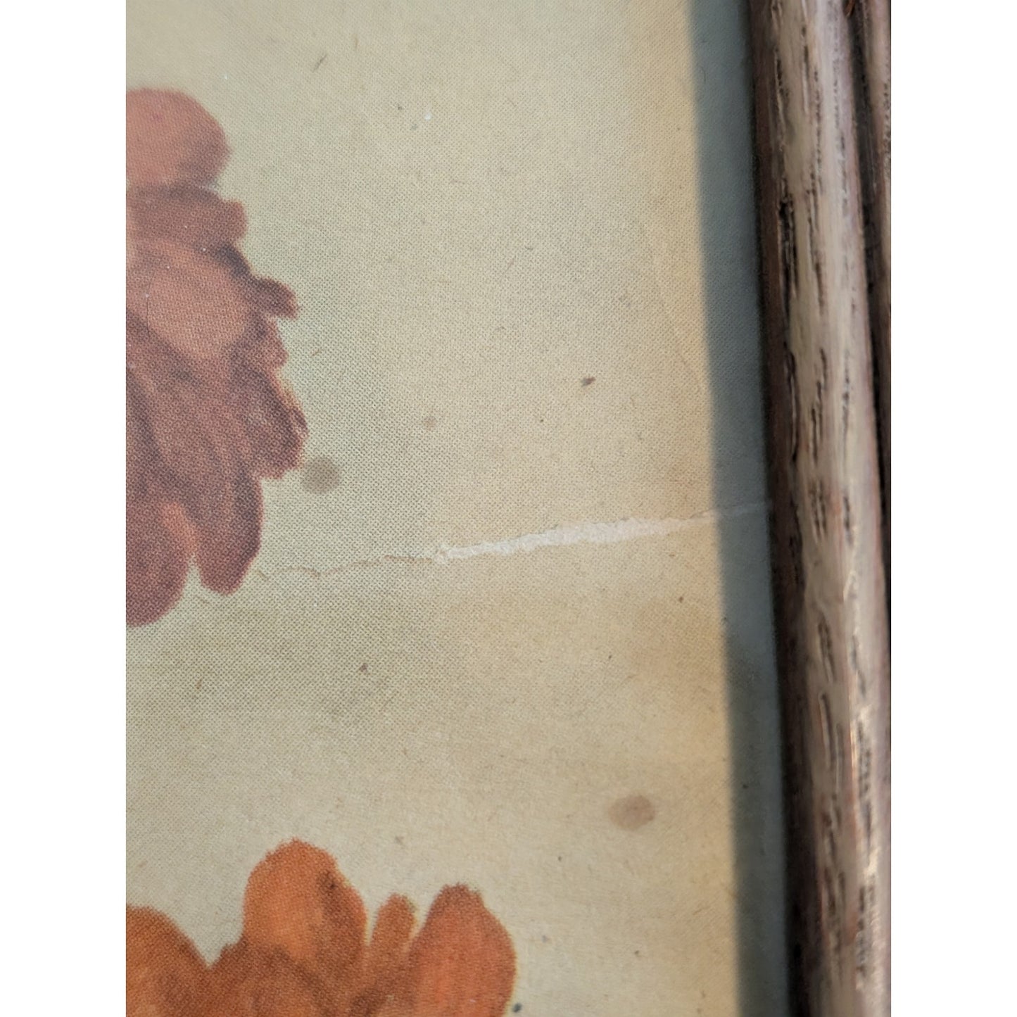 Antique Huibert Schallenberg Signed Botanical 'Mums' Wood Framed Print