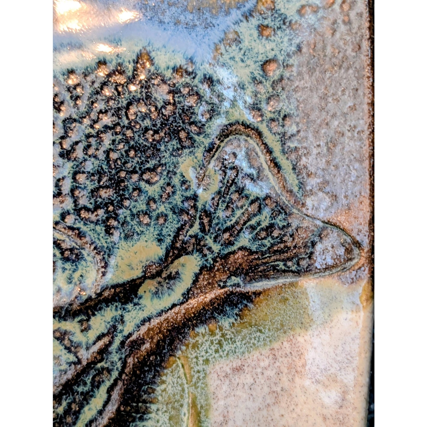 Fish 'Fossil' Textured 9" Plate Pottery