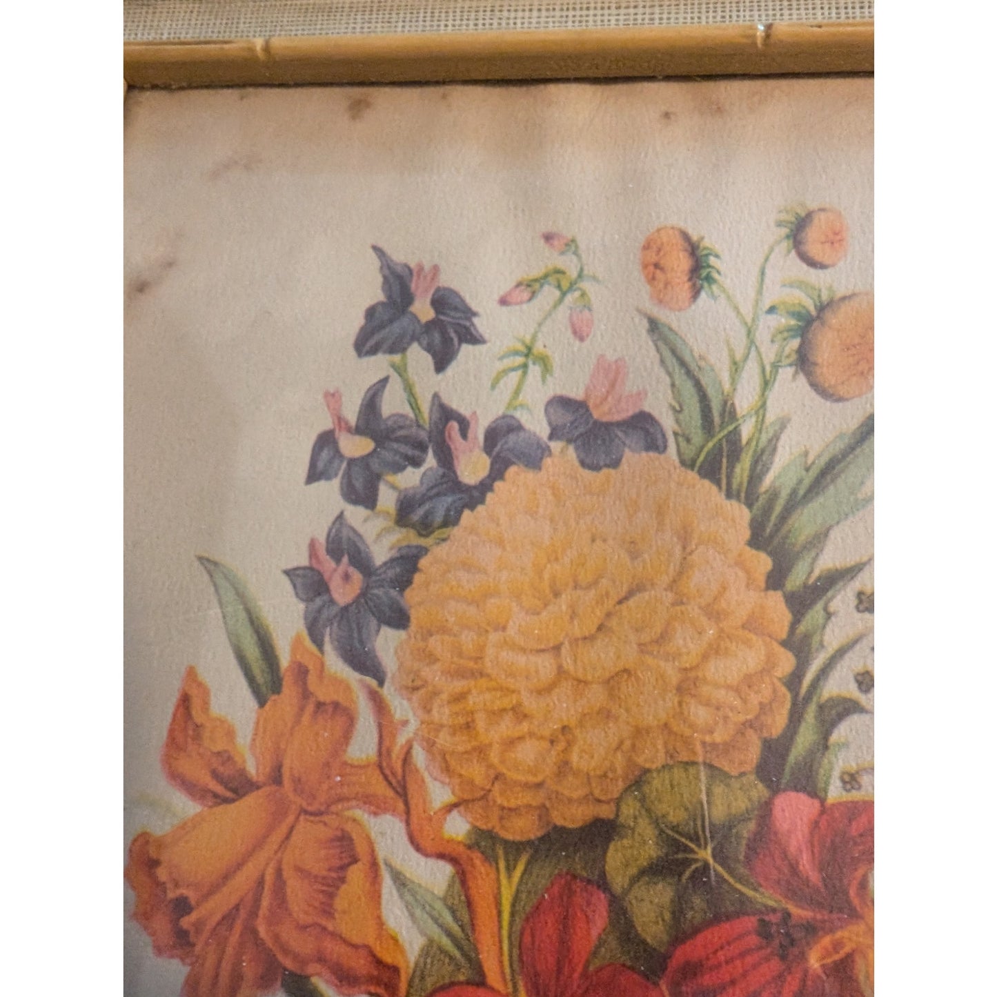 Set of Two Vintage Framed Pierre Joseph Redoute Botanical Art Prints Under Glass