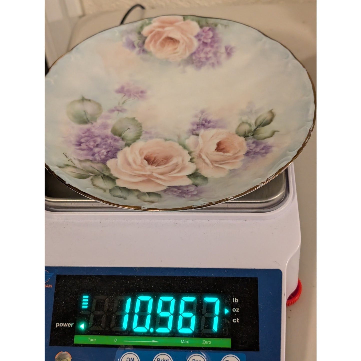 Vtg/Antique Signed Bareuther Waldsassem Bavaria Germany Hand Painted Rose Plate