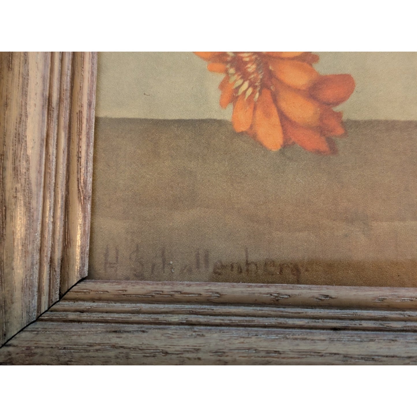 Antique Huibert Schallenberg Signed Botanical 'Mums' Wood Framed Print