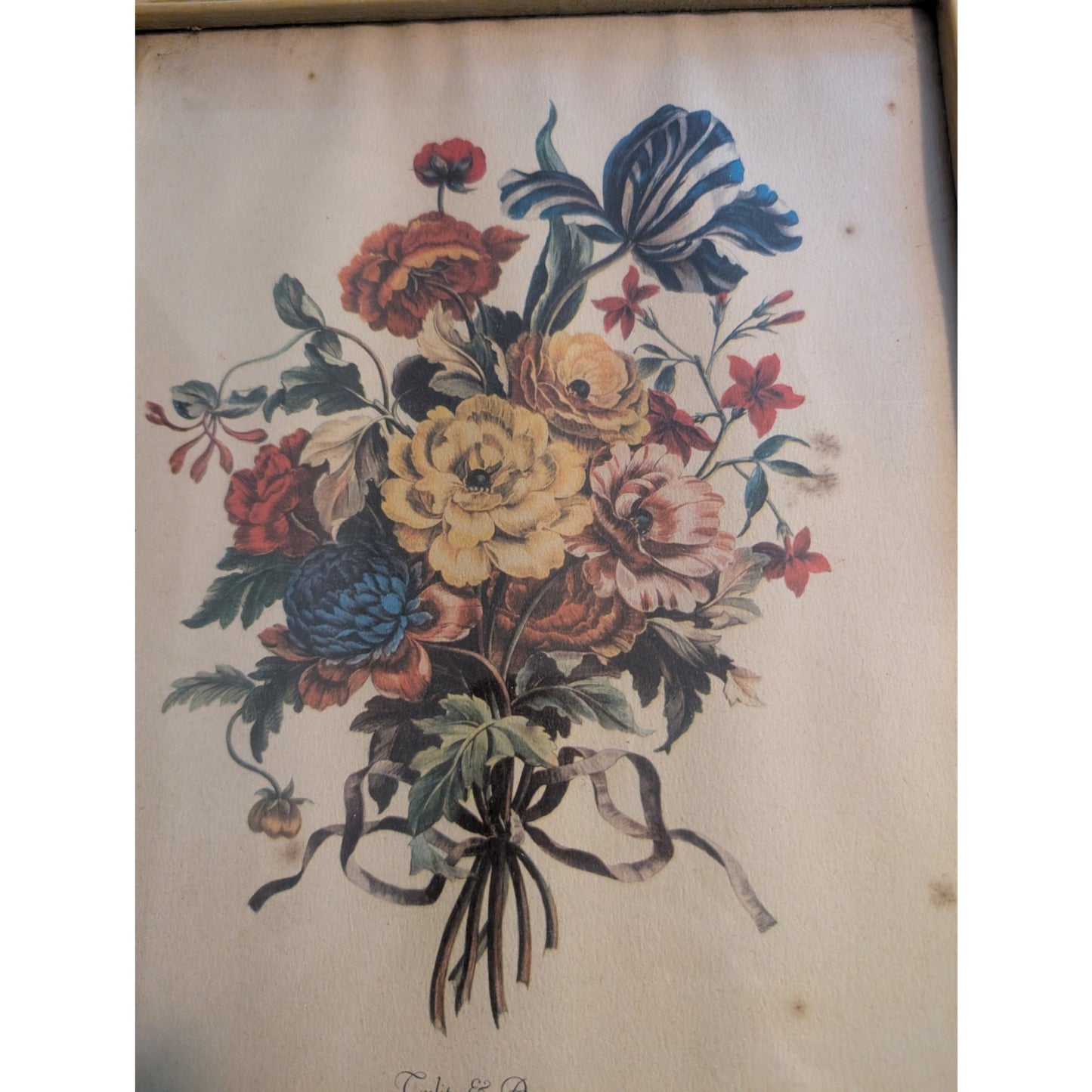Set of Two Vintage Framed Pierre Joseph Redoute Botanical Art Prints Under Glass