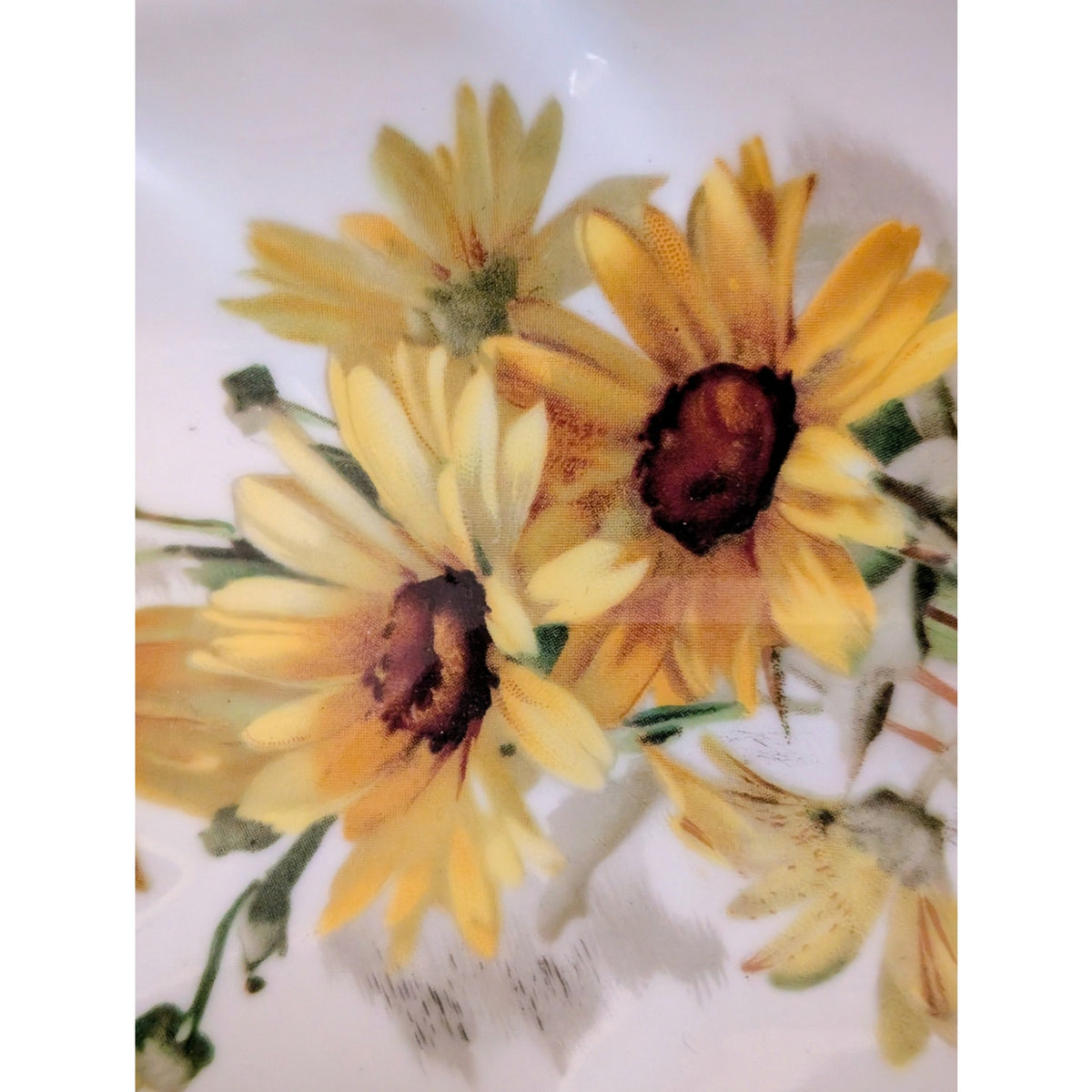Vintage Old Nuremberg Daisy Pattern Leaf Shape Candy Dish Bavaria Germany