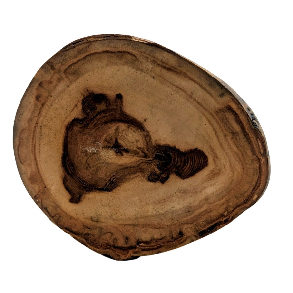 Artisan Created Wood Burned Horse Head Log Pillar Candle Holder
