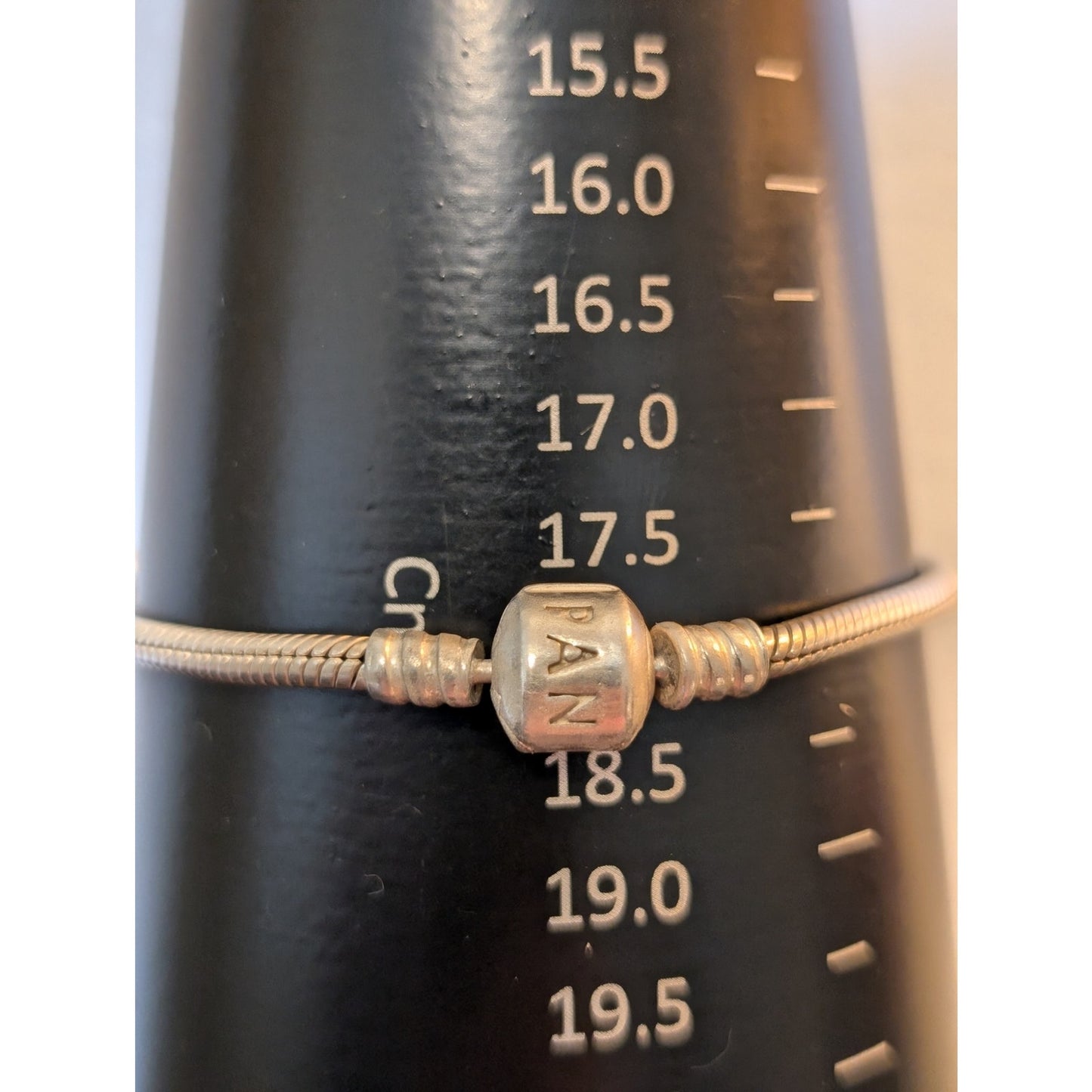 Authentic PANDORA Sterling Silver 925 Moments Snake Chain Bracelet Sister Charm