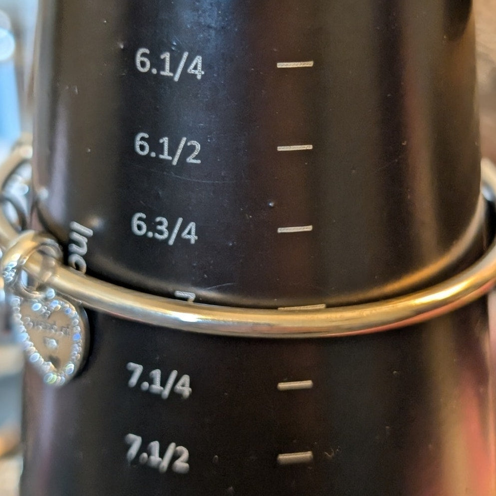 Pandora's Modern Classic Silver Bangle W/ Rose Metal Blend & Three Charms