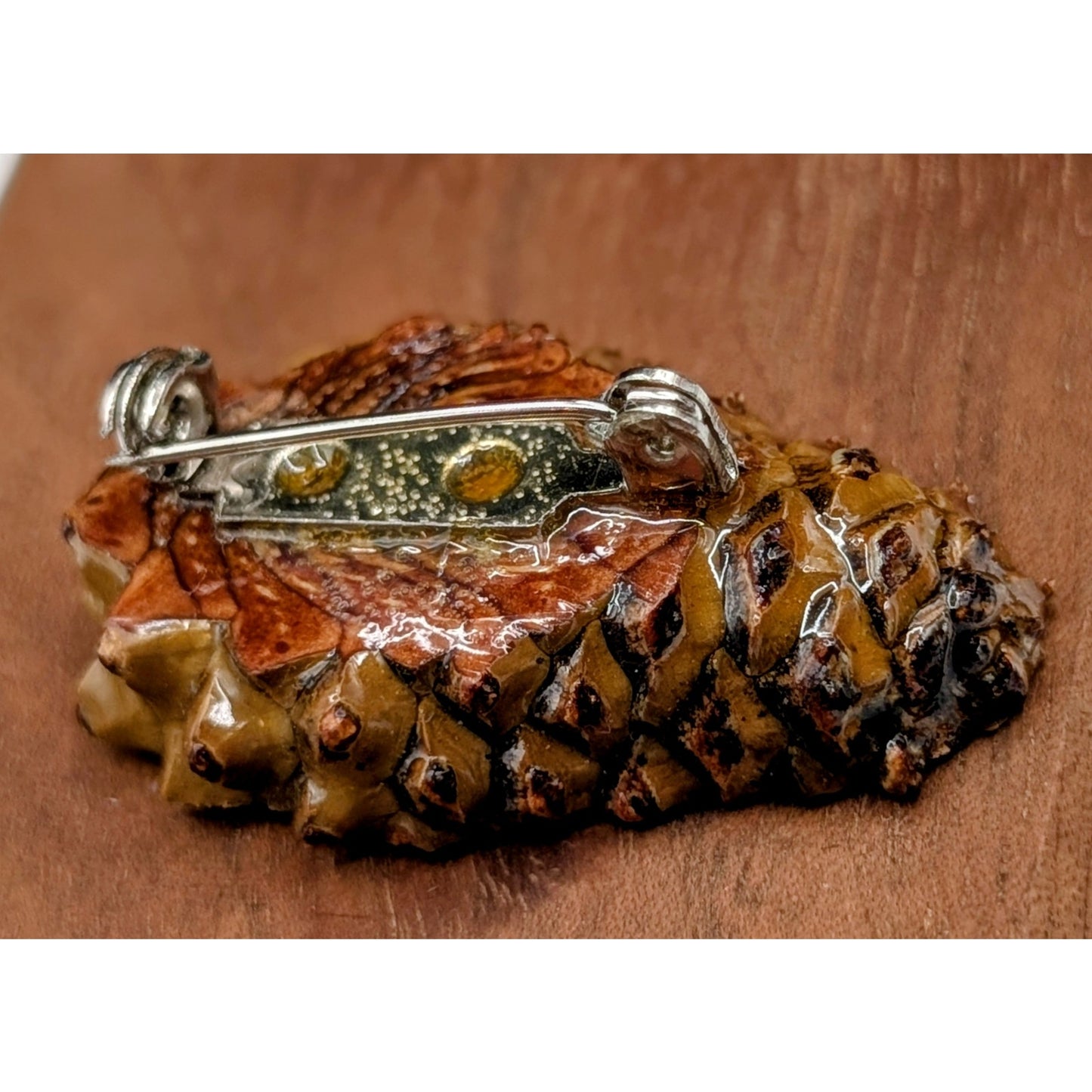 Halved Lacquered Pine Cone Pin