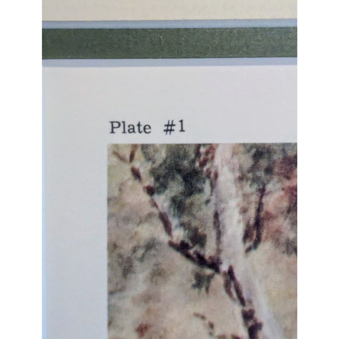 1975 Paul Sawyier Gilt Wood Frame Collector 'Still Waters' Numbered Copied Print