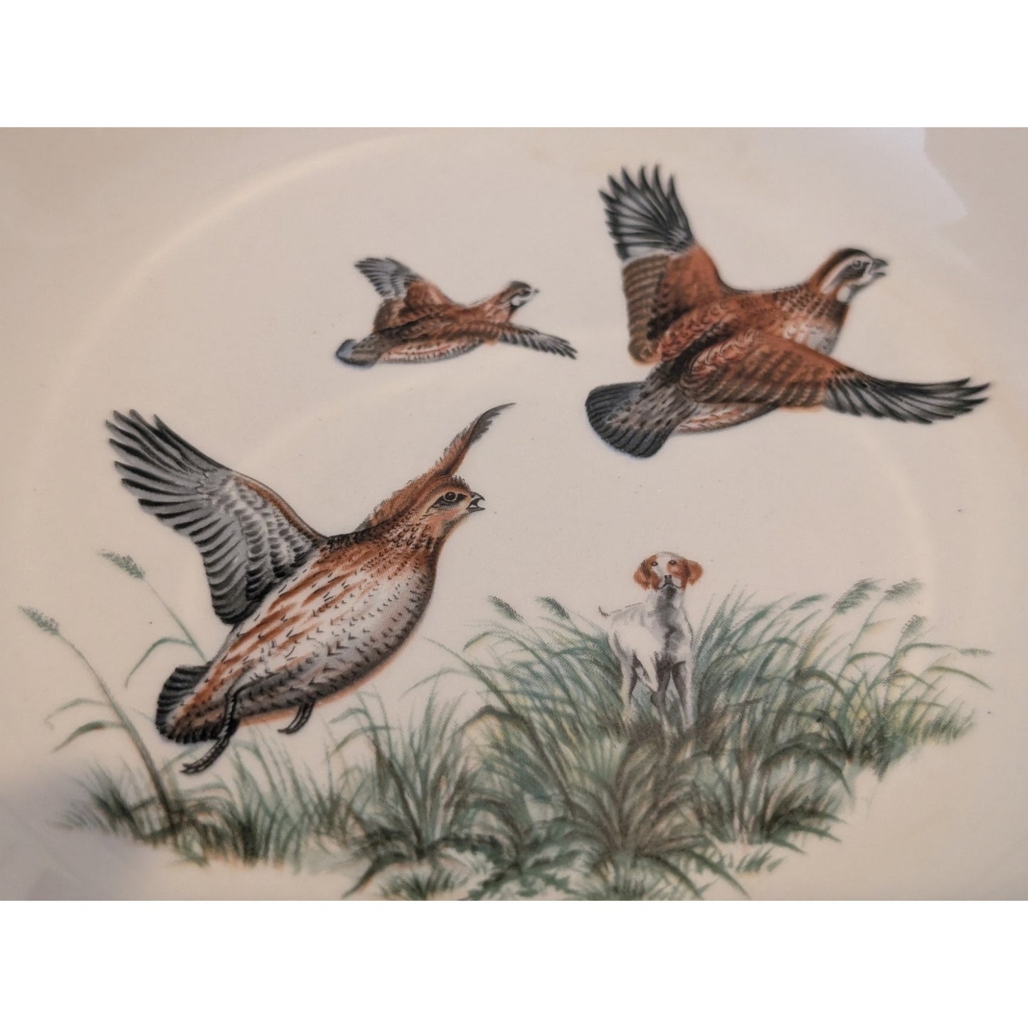 Vintage Sheffield Pottery Sheffield Massachusetts Bird Bowl