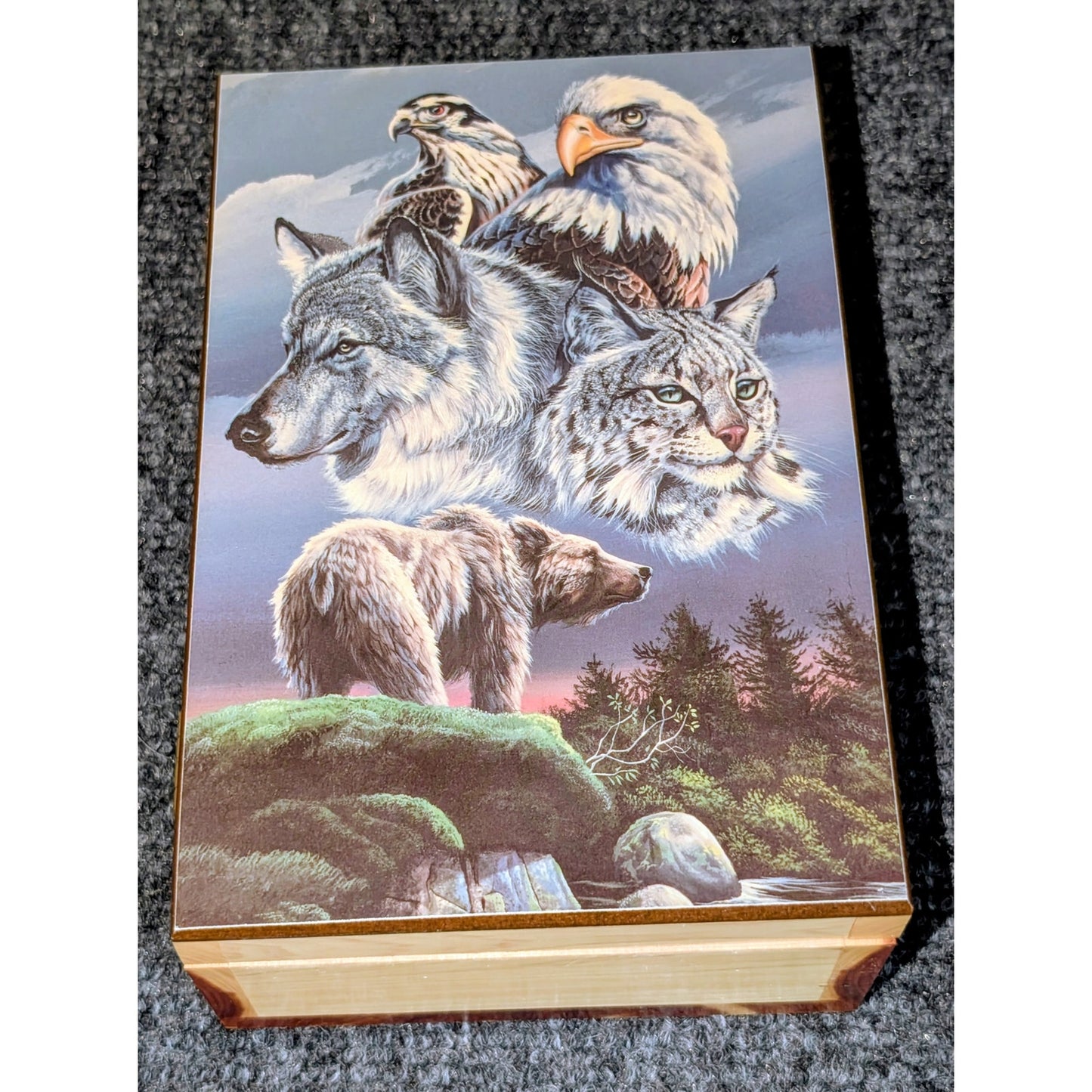 Bear Wolf Eagle Hawk Bobcat Art Hinged Wood Trinket Box