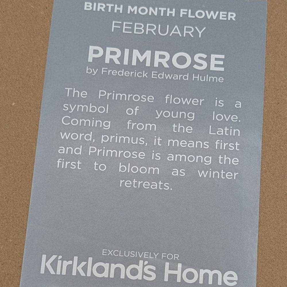 Kirkland's Home Birth Month Flower February Primrose Framed Picture