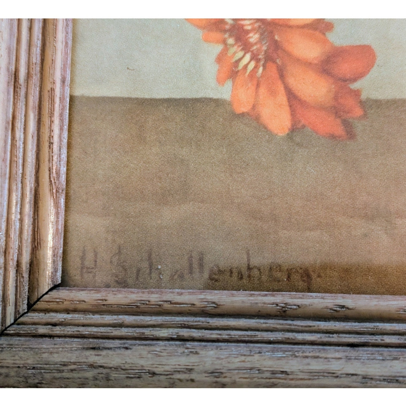 Antique Huibert Schallenberg Signed Botanical 'Mums' Wood Framed Print