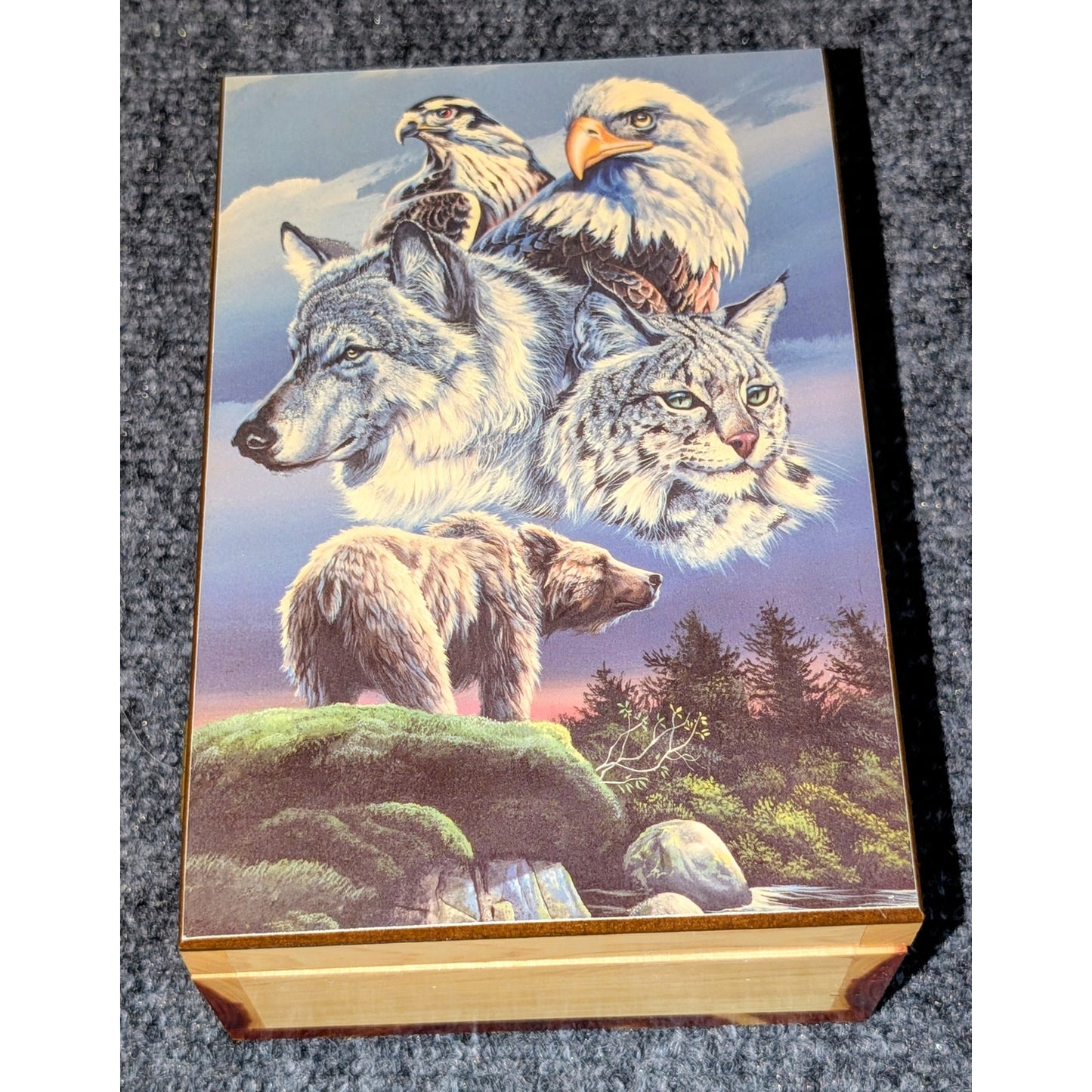 Bear Wolf Eagle Hawk Bobcat Art Hinged Wood Trinket Box