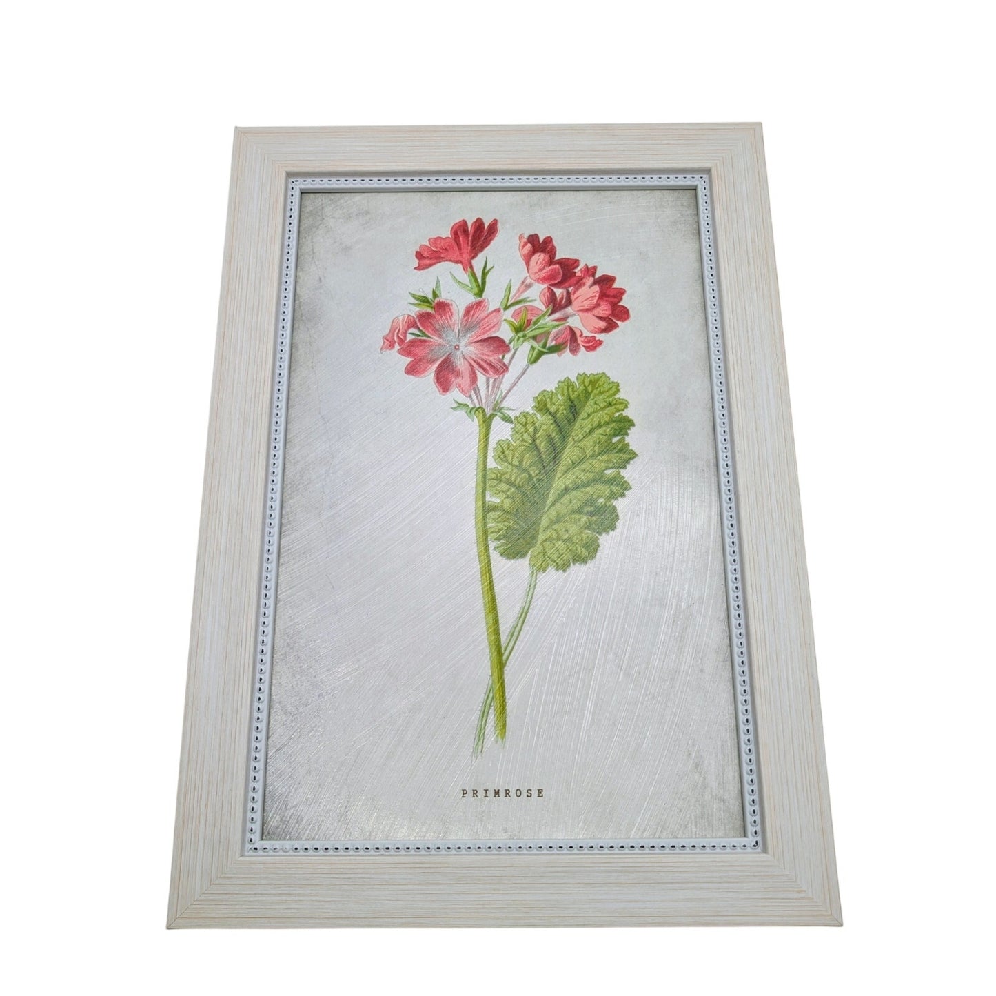Kirkland's Home Birth Month Flower February Primrose Framed Picture