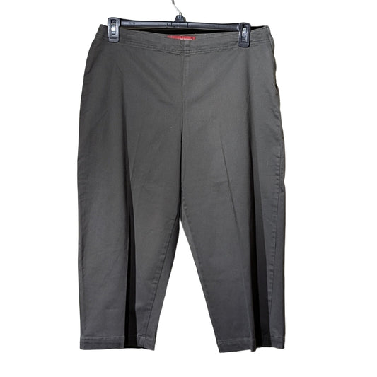 Gloria Vanderbilt Loden Side Zip No Waistband Flat Front Pedal Pusher Pant Sz 14