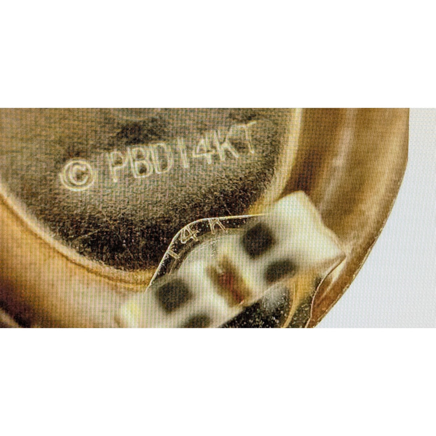 Peter Brams 14K Yellow Gold 10x8 Oval Onyx Cabochon Earrings 1.7 Grams