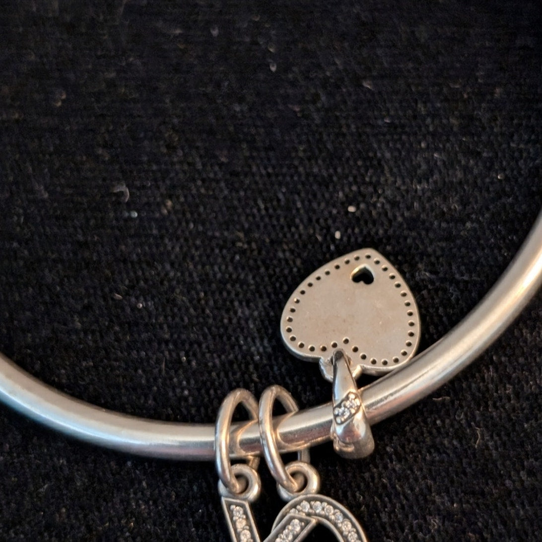 Pandora's Modern Classic Silver Bangle W/ Rose Metal Blend & Three Charms