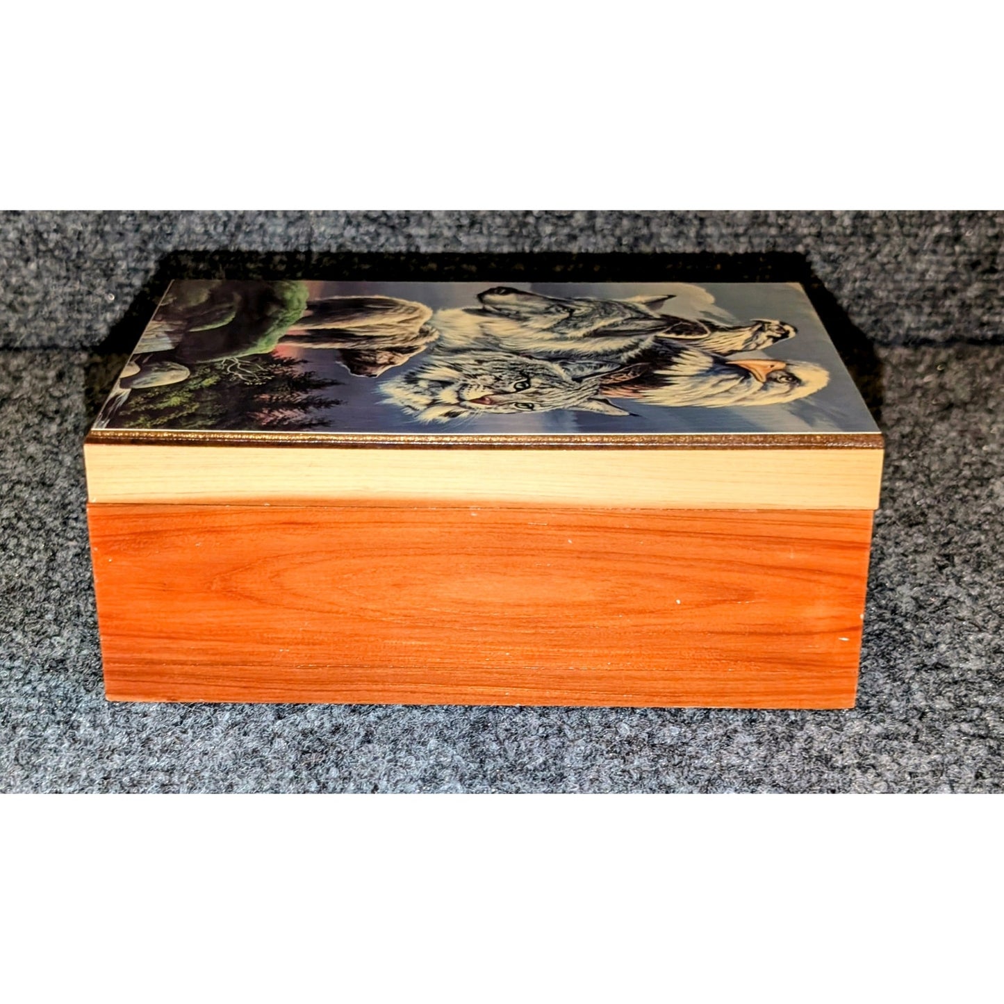 Bear Wolf Eagle Hawk Bobcat Art Hinged Wood Trinket Box