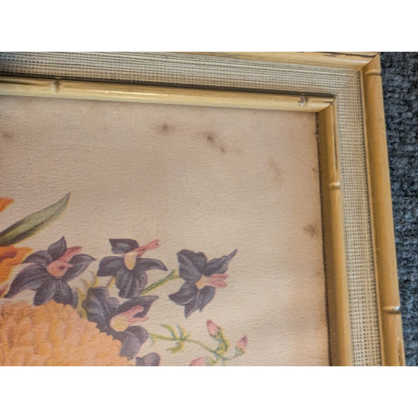 Set of Two Vintage Framed Pierre Joseph Redoute Botanical Art Prints Under Glass