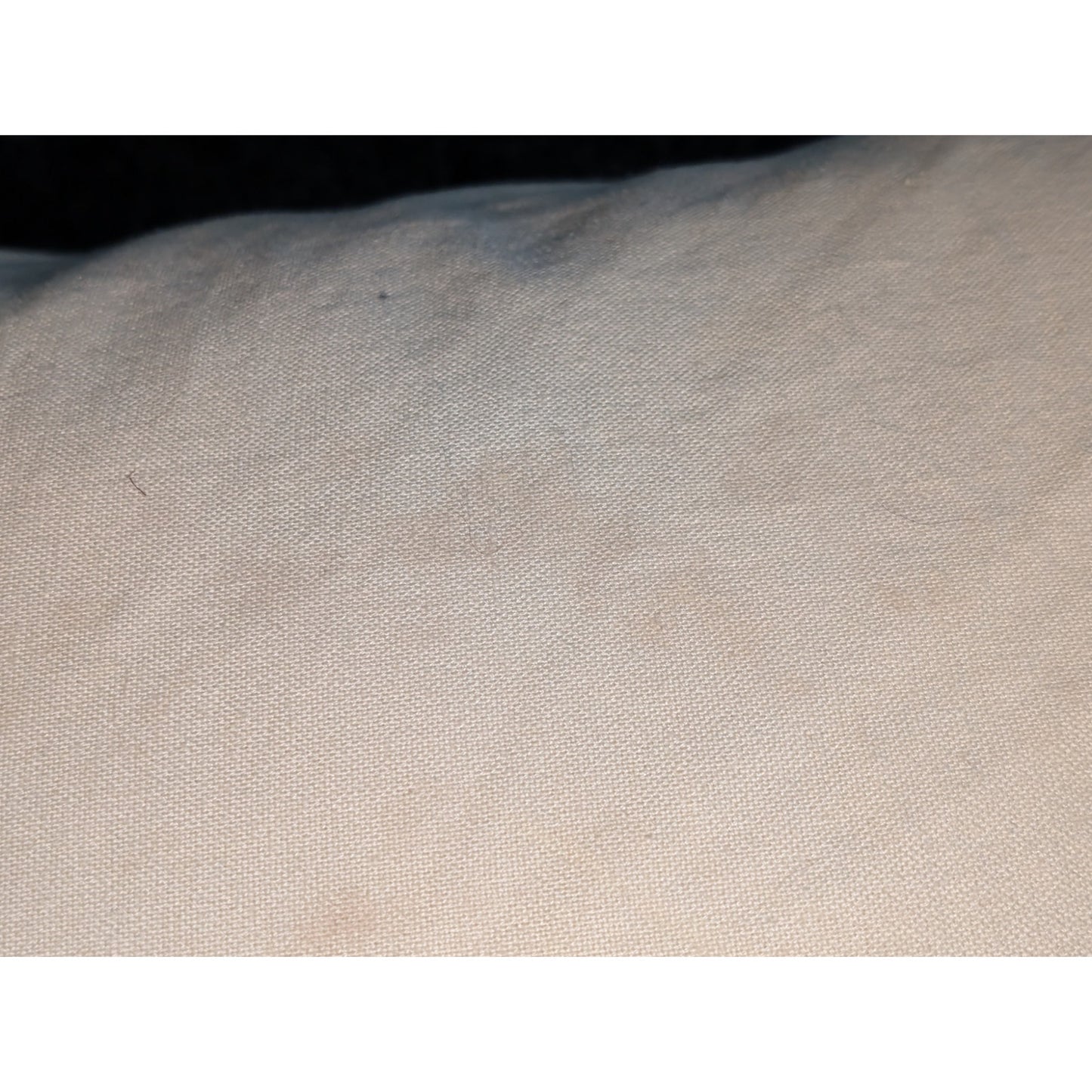 POTTERY BARN Black White Crewel 20X20 Cotton Down Fill Insert Decorative Pillow