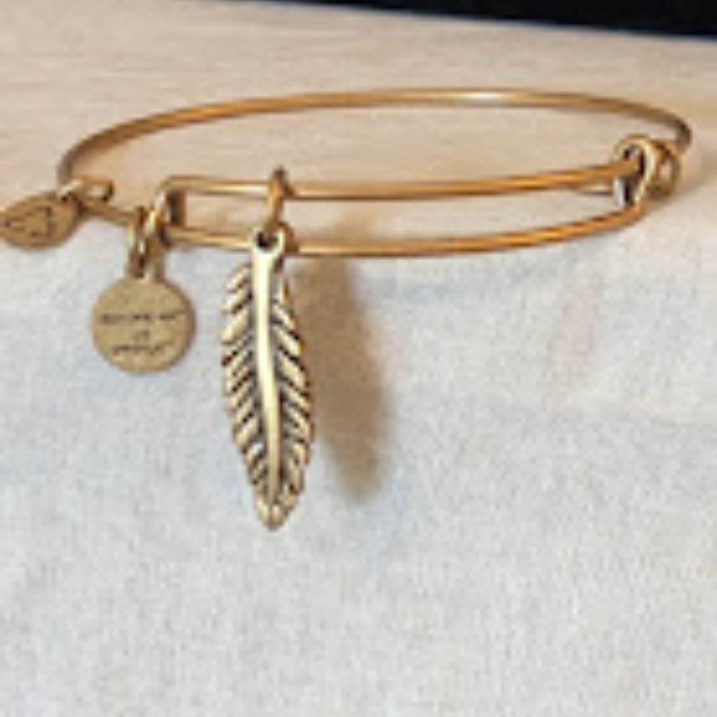 Alex and Ani Feather Charm Gold Tone Adjustable Slide Bangle Bracelet