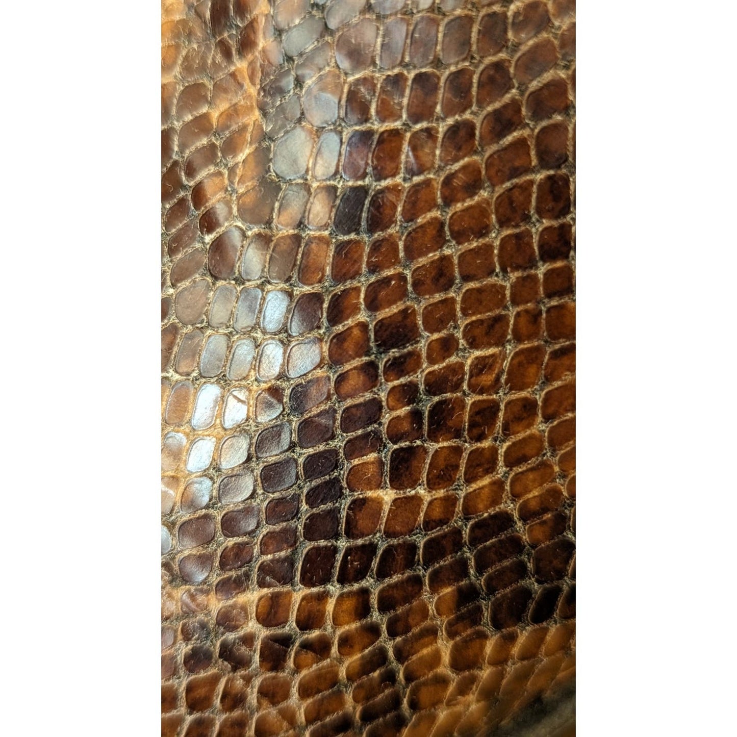 Via Spiga Snakeskin Print Brown Leather Zip Ankle Boots Square Toe Italy Sz 7.5M
