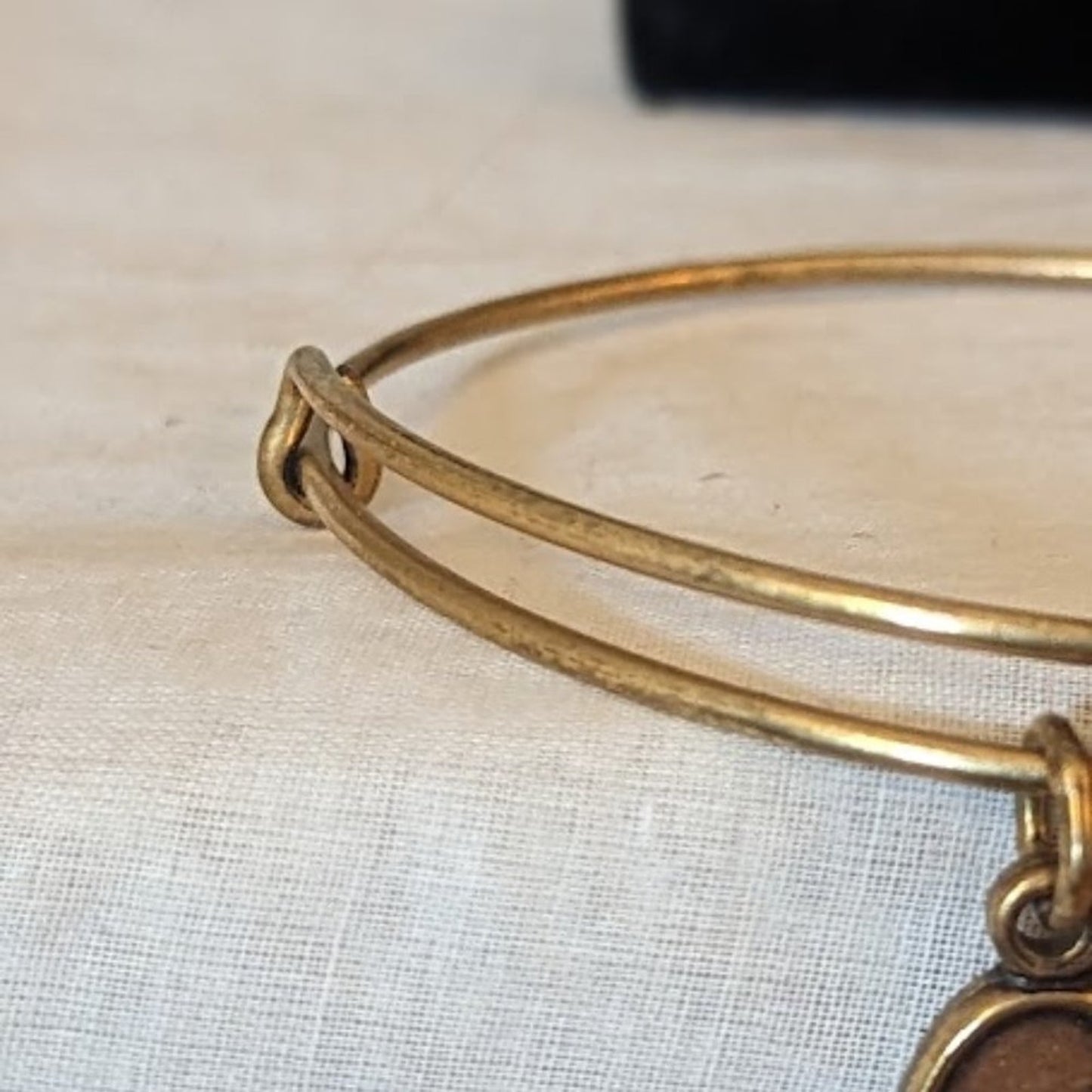 Alex and Ani Love Heart Charm Adjustable Slide Gold Tone Bangle Bracelet