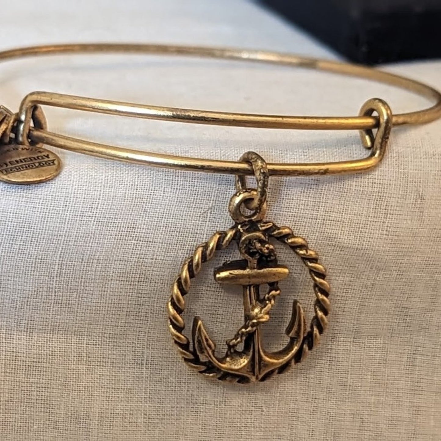 Alex and Ani Anchor Charm Gold Tone Adjustable Slide Bangle Bracelet