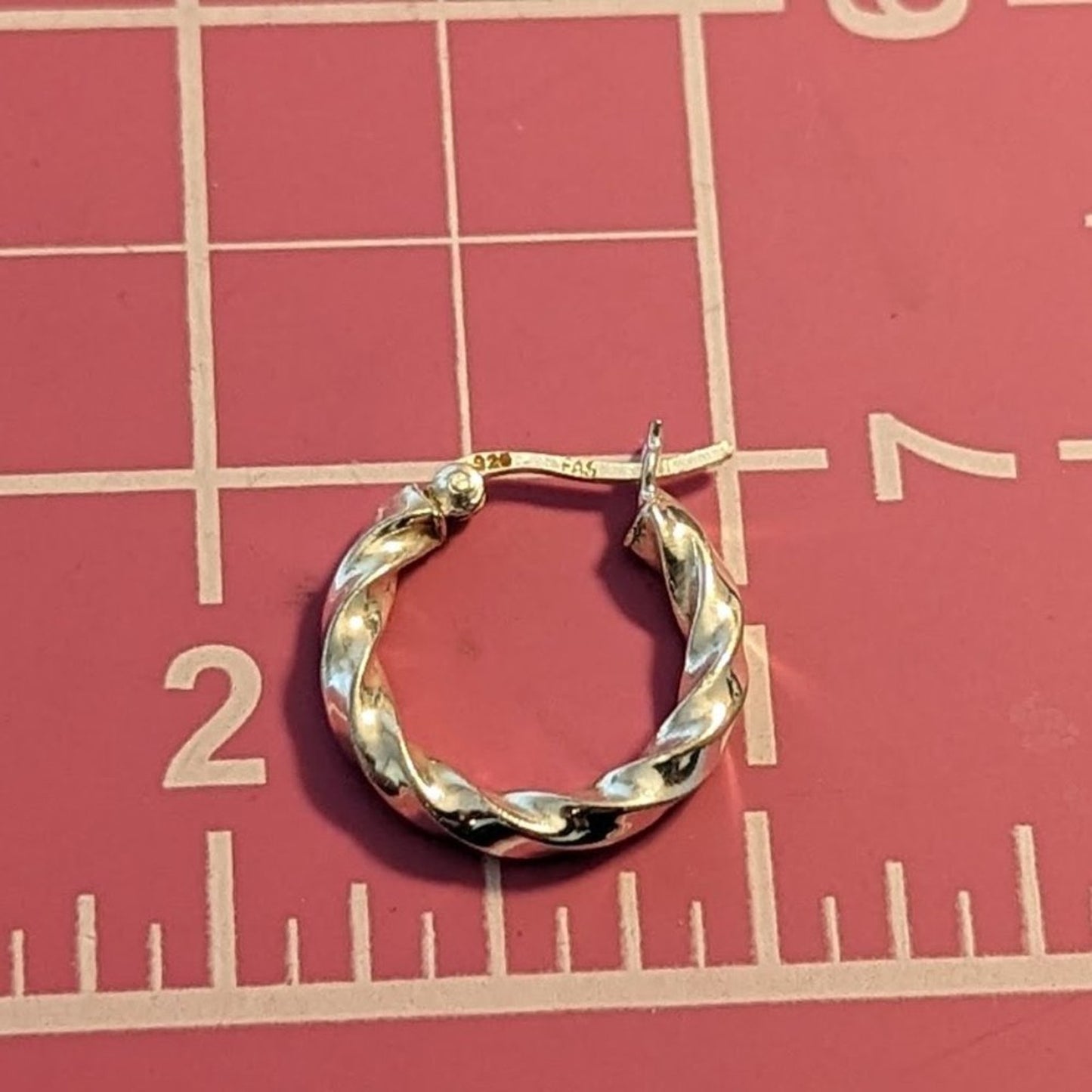 Silver Tone Twisted Hoop Earrings